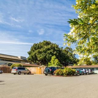 A parking lot with several cars parked near trees and a wooden fence under a clear blue sky.