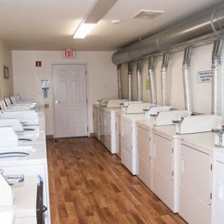 A row of washing machines and dryers in a clean laundromat.