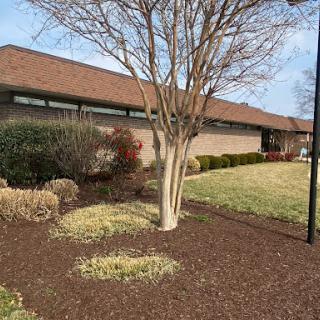 A tranquil garden scene featuring a tree and well-maintained landscaping.