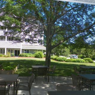 A sunny outdoor area with tables and chairs under a large tree, near a building.