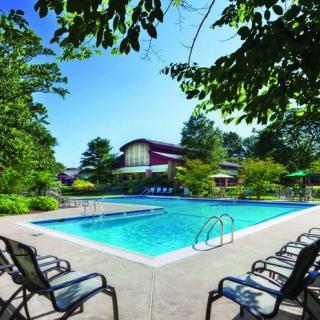 A tranquil outdoor pool surrounded by trees and lounge chairs on a sunny day.