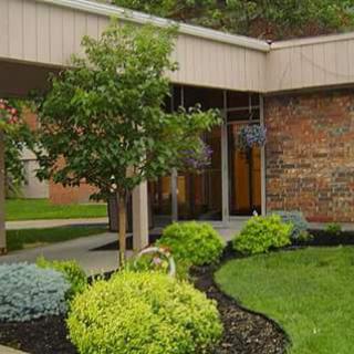 A well-maintained garden area featuring a variety of plants and a tree alongside a building entrance.