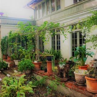 A lush garden with various potted plants outside a house.