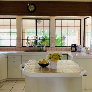 A bright and modern kitchen with a central island, large windows, and decorative plants.