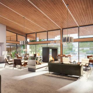 A spacious modern living room with large glass walls, wooden ceiling, and contemporary furniture bathed in natural light.