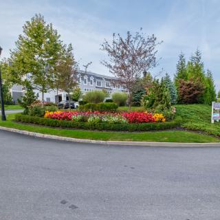 Beautifully landscaped roundabout with vibrant flowers and a background of trees and a building.