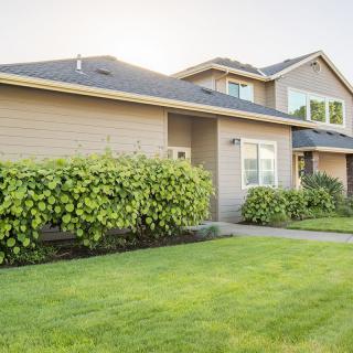 A suburban house with a well-maintained lawn and shrubs.