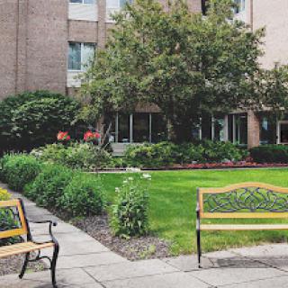 A tranquil outdoor space featuring well-maintained benches and lush greenery.