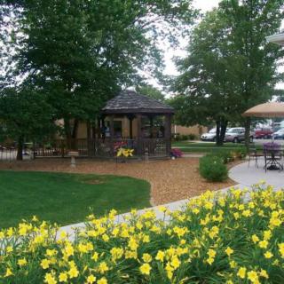 A peaceful garden with a gazebo surrounded by blooming yellow flowers.