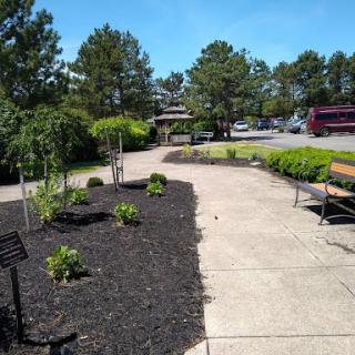 A serene pathway in a park, surrounded by lush landscaping and benches for relaxation.