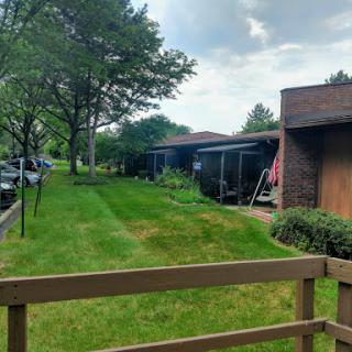 A serene residential area with well-maintained grass and trees, illustrating a peaceful outdoor setting.