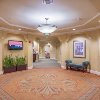 A well-lit hotel hallway featuring decorative elements, potted plants, and comfortable seating.