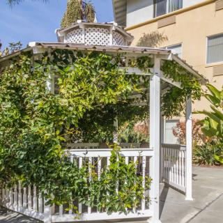 A white gazebo covered with vines in a garden setting.