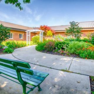 A peaceful garden with a pathway leading through lush greenery and a green bench in the foreground.