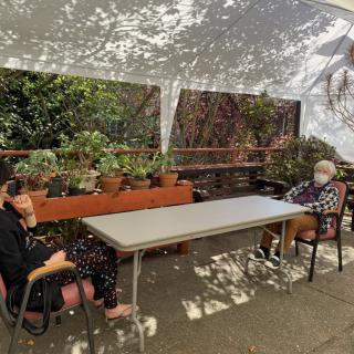 Two people sitting at a table outdoors, surrounded by plants and dappled sunlight.