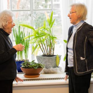 Two elderly women engaged in conversation next to a windowsill adorned with potted plants.