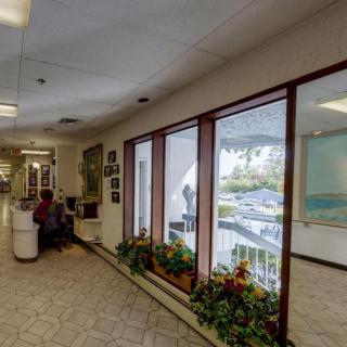 A spacious office waiting area with a reception desk, large windows, and indoor plants.