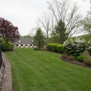 A well-maintained backyard with a lush green lawn, surrounded by trees and shrubs, leading up to a house.
