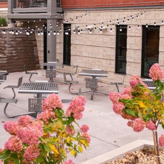 A charming outdoor patio area with round tables and chairs, decorated with string lights and blooming hydrangeas.