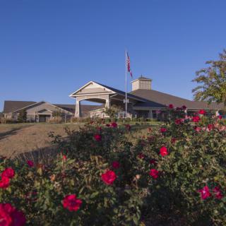 A scenic view of a building surrounded by vibrant red roses under a clear blue sky.
