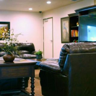 A cozy living room with leather sofas, a wooden table, and decorative plants.