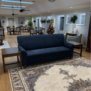 A spacious living room with a navy sofa and elegant carpet, surrounded by indoor plants.