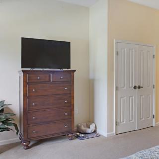 A bedroom corner features a wooden dresser with a TV on top, adjacent to a double-door closet and a potted plant.