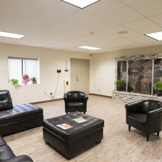 A comfortable and inviting waiting area featuring black leather seating and a touch of greenery.