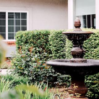 A serene garden scene featuring a classic fountain surrounded by lush greenery.