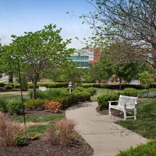 A serene garden with a winding pathway, surrounded by lush greenery and a bench for relaxation.