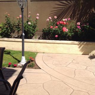 A sunny patio with a flower bed of colorful roses.