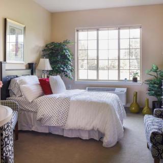 A cozy bedroom with a neatly made bed, decorative plants, and a large window.