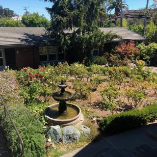A sunny garden with a central fountain surrounded by various plants and shrubs.