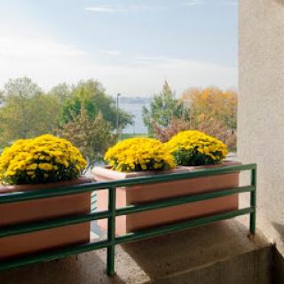 A serene balcony adorned with vibrant yellow flowers, overlooking a picturesque autumn landscape.
