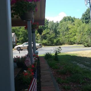 A peaceful view of a suburban street with greenery and a passing vehicle.