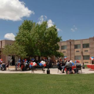 A group of people gathered under a tree on a sunny day near a building.