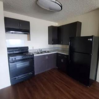 A modern kitchen featuring black appliances and sleek cabinetry.