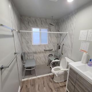 A modern, accessible bathroom with shower and grab bars.