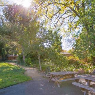 A serene park with picnic tables under the sun-dappled canopy of trees.