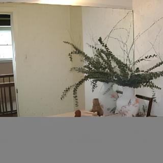 A minimalist dining room with a table and chairs, decorated with tall green plants.