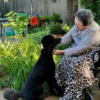 A heartwarming moment between a woman and her black dog in a vibrant garden.