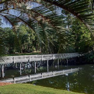 A serene view of a wooden bridge crossing over calm waters, surrounded by lush greenery.