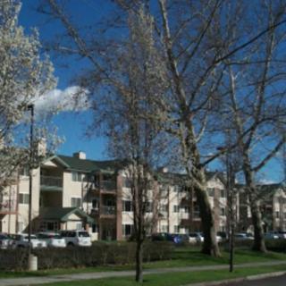 A view of an apartment building surrounded by trees under a clear blue sky.