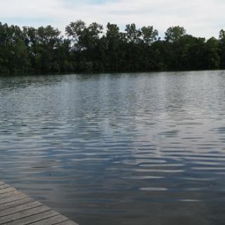 A serene view of a lake surrounded by trees, with calm water reflecting the sky.