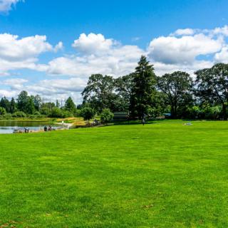 A lush green park with a pond surrounded by trees under a bright blue sky with clouds.