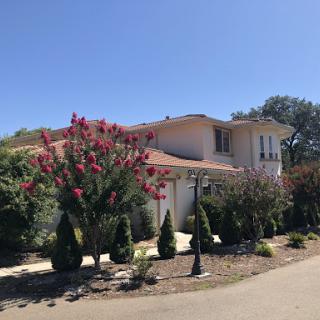 A charming residential home with blooming trees and a clear blue sky.