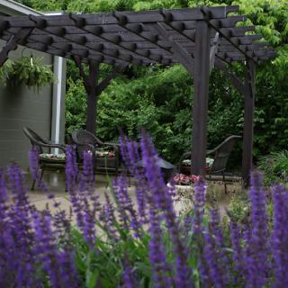 A serene garden scene featuring a wooden pergola and vibrant purple flowers in bloom.