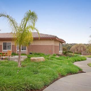 A suburban house with a well-maintained garden, featuring palm trees and a winding pathway.
