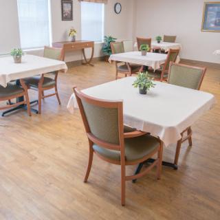 A spacious dining area with neatly arranged tables and chairs, featuring small plants at each table.