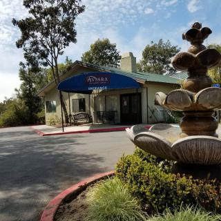 A scenic view of a building entrance with a fountain in the foreground and trees surrounding the area.